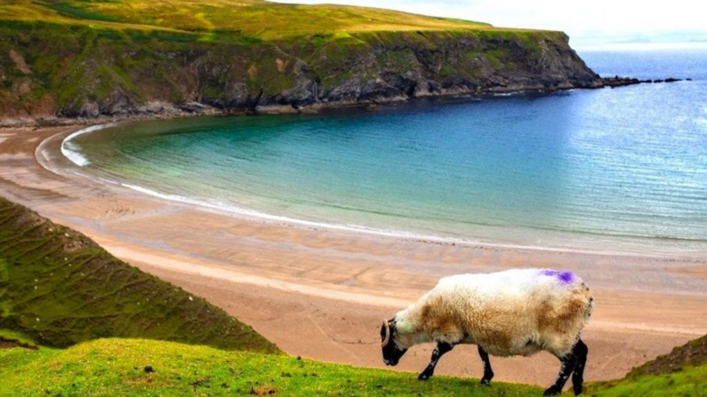 Stunning Silver Strand Beach Silver Strand Beach