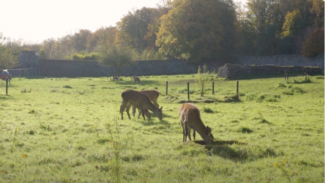 Screenshot 2026-02-09 111659